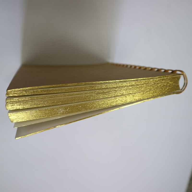Style rétro de cahier de reliure de bobine d'estampage d'or