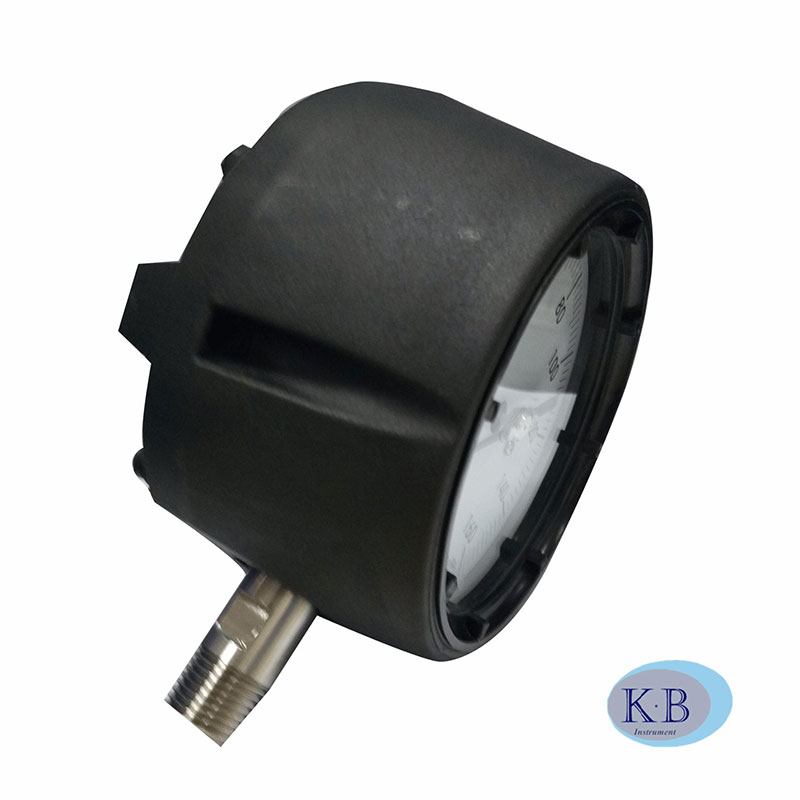 Heart frontal Industry Safety Black Heart front Process instrument anti - explosion Pressure