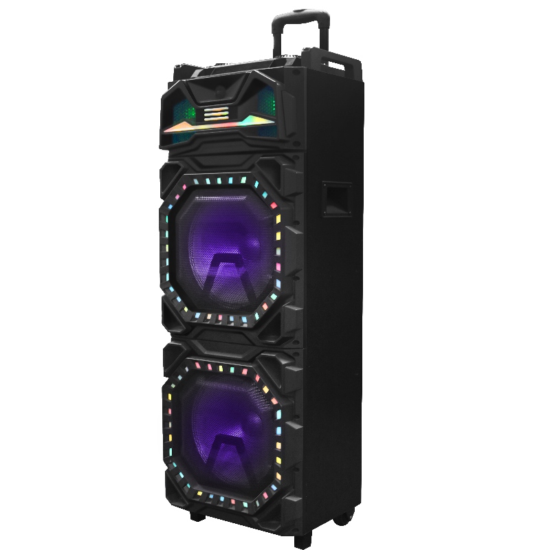 Haut - parleur de chariot