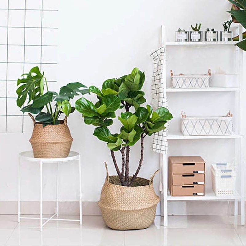 Décor à la maison pot de fleur stand ovale suspendu panier de rangement en jonc de mer