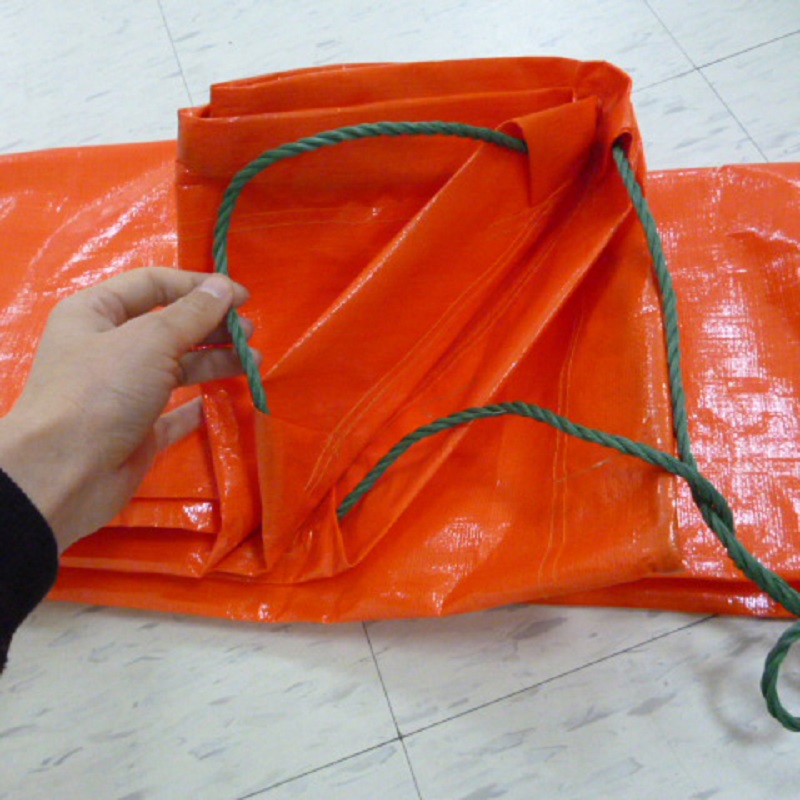 Bâche faite sur commande de pe de Chine de bâche de polyéthylène avec la feuille en plastique d'oeillets