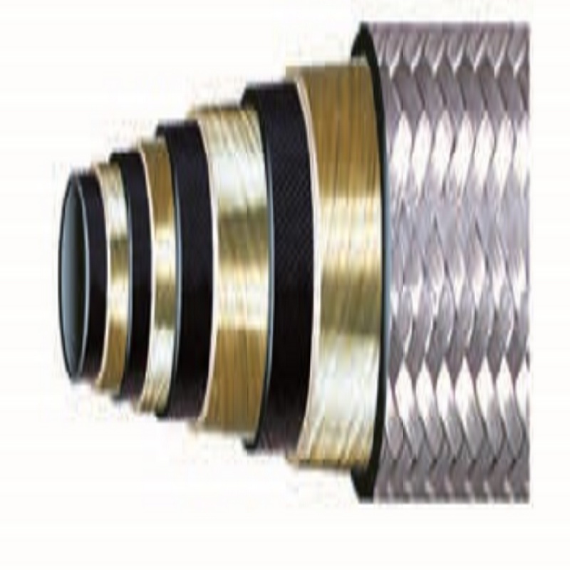 Unio et    35110; tuyaux de forage à étranglement flexible et à bride