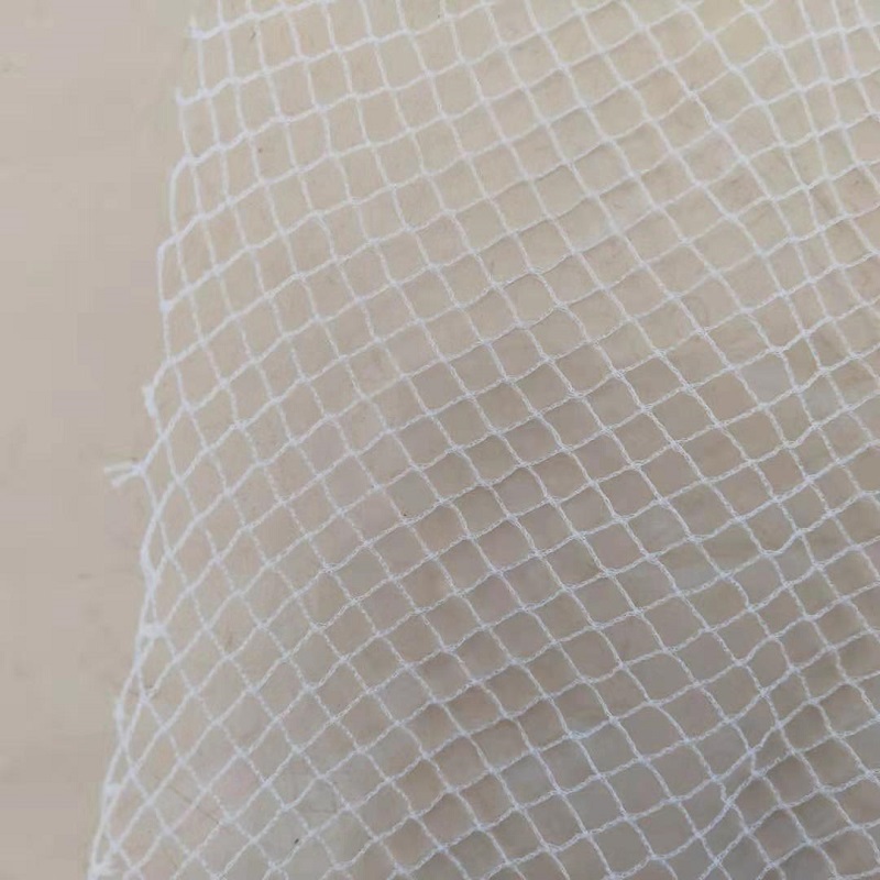 Usine en vente HDPE Filet anti-insectes Agriculture Anti Oiseau Net Couverture De Serre Insecte Net pour Arbre Fruitier