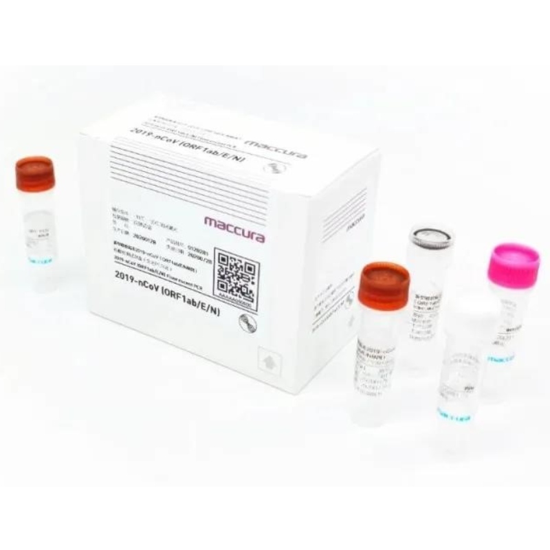 Kit PCR fluorescent SARS-CoV-2