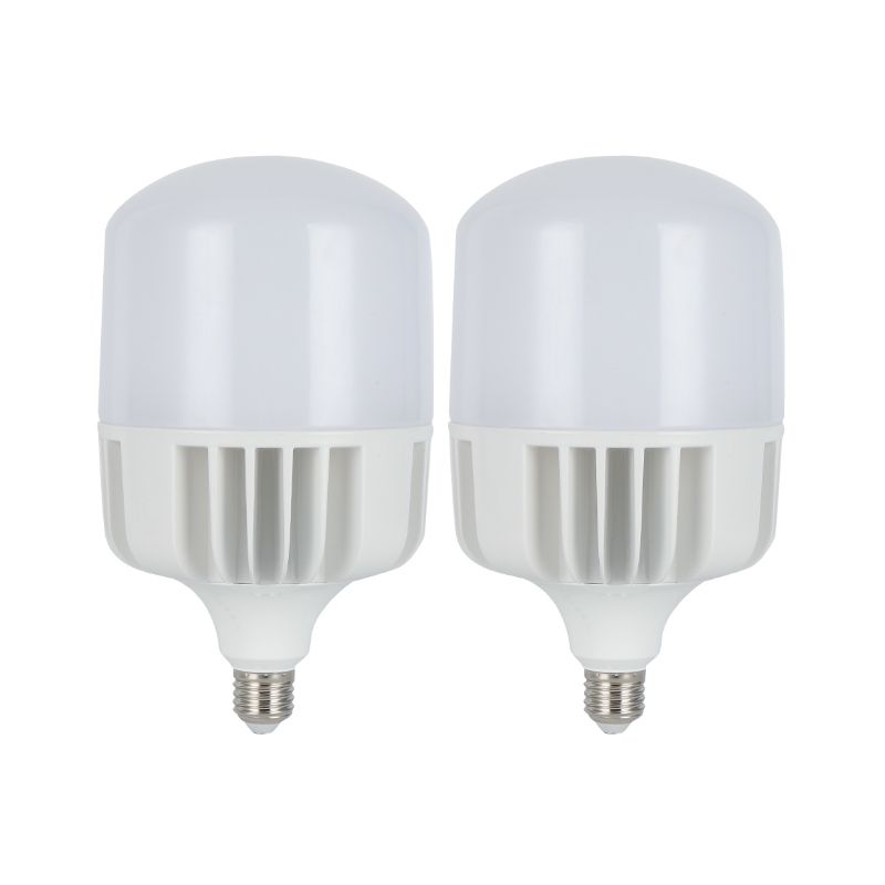 Lampe t 20W - 30w - 40W - 50W - 70W - 100W