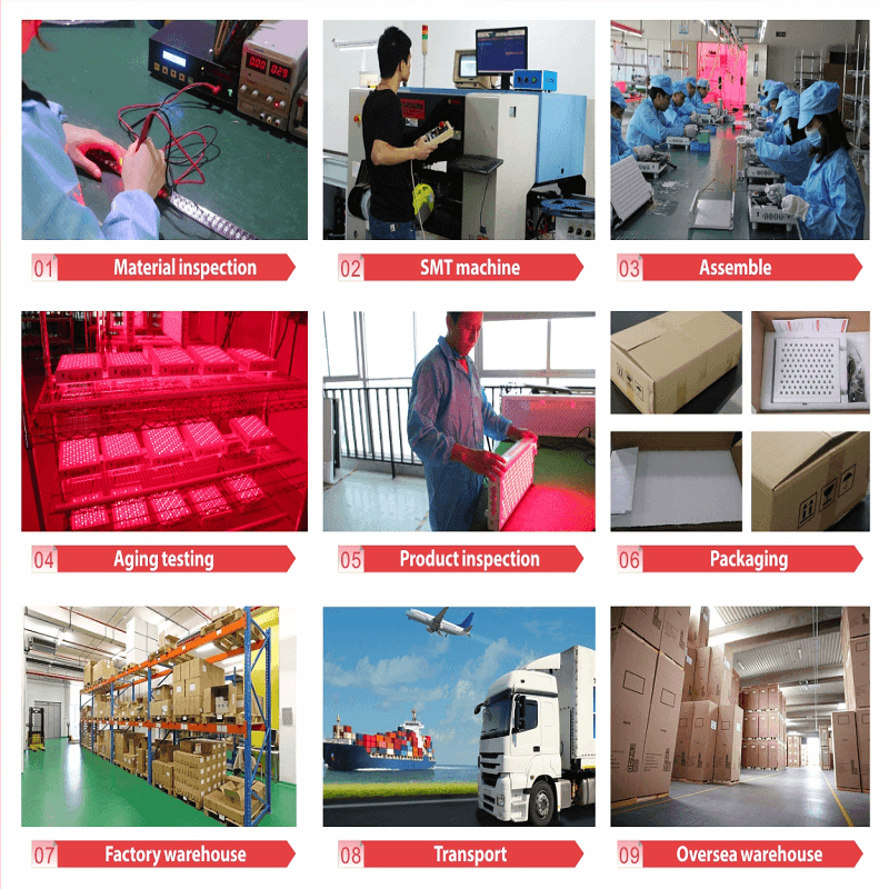 La thérapie LED rouge allume les dispositifs médicaux FDA fabriqués en Chine OEM ODM OBM