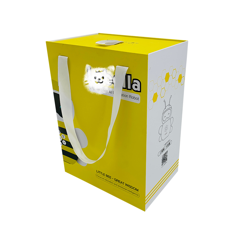 Big Paper Gift Packaging