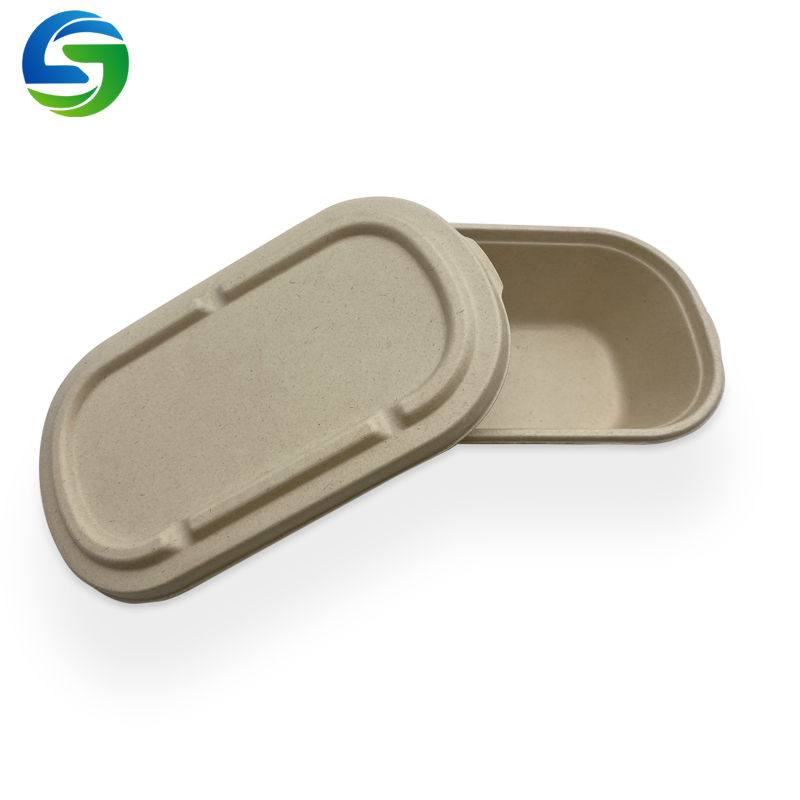 Bol à salade jetable écologique