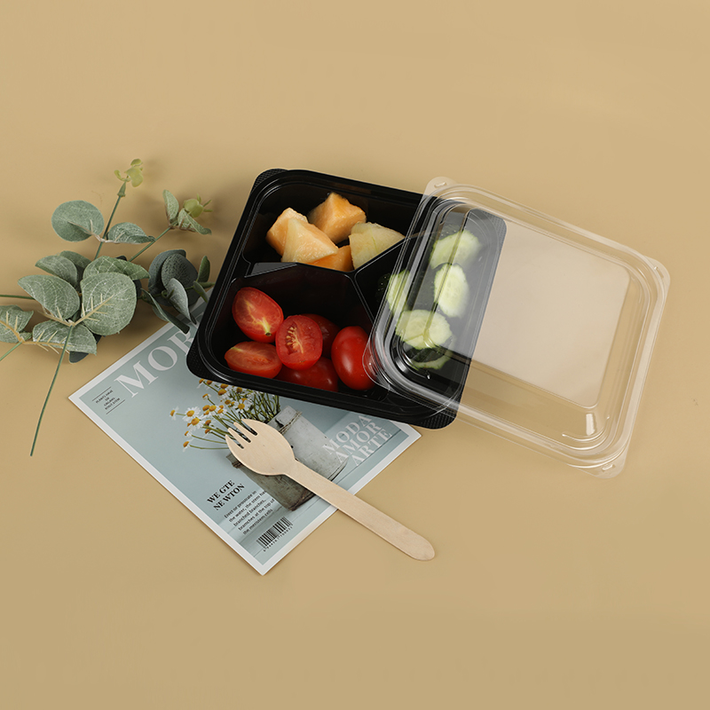 Boîte à déjeuner 520a3
