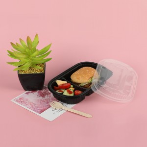 Boîte à lunch 520A