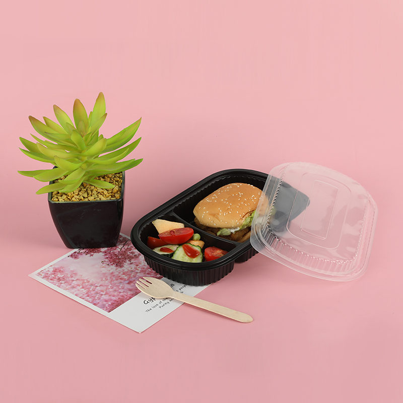 Boîte à lunch 520A