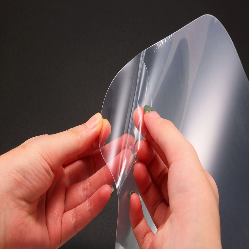 Masque de polycarbonate d 'hiver neutre
