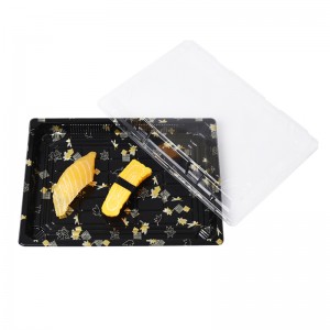 Sushi plateau X - 09