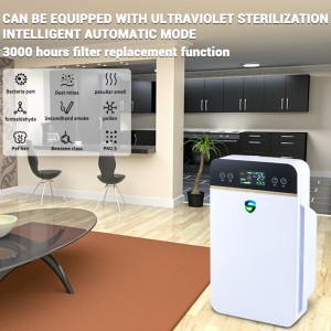 Purificateur d\'air anionique sain
