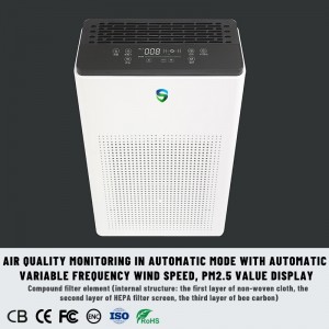 Double Purificateur (purification active + purification passive)