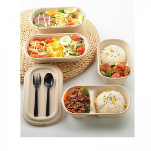 Boîtes ovales de restauration rapide à emporter Contenants biodégradables d\'emballage alimentaire de bagasse avec couvercle transparent
