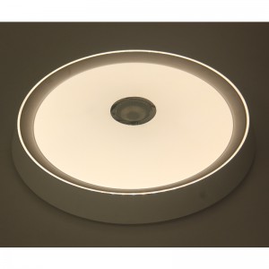 Mu108 plafond
