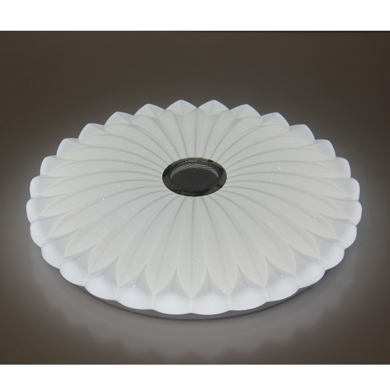 Mu113 plafond
