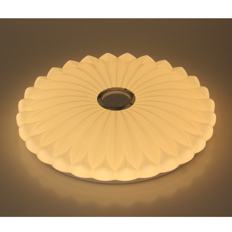 Mu113 plafond