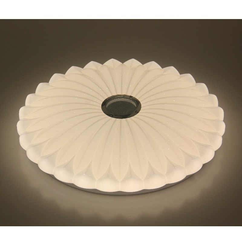 Mu113 plafond