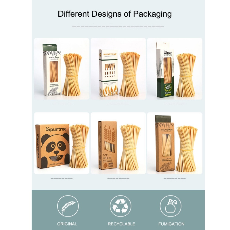 Amidon de maïs portable paille potable paille biodégradable PLA compostable