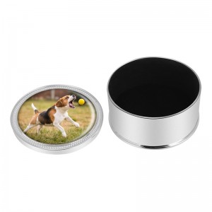 Urne en métal pour cendres de chien