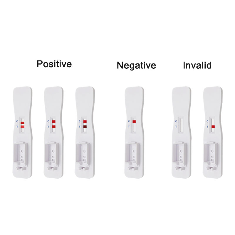 V - chekC2019 ncov AG salive Rapid test Card (immunochromatography)