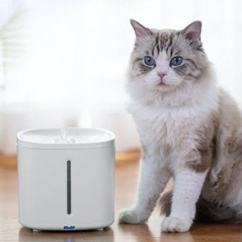 2L Fontaine d'eau pour animaux de compagnie
