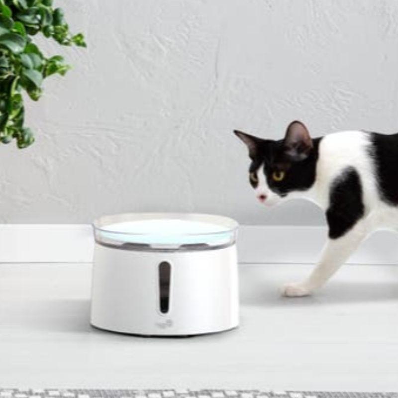 Distributeur d'eau automatique 2L