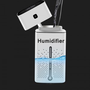 gros humidificateur