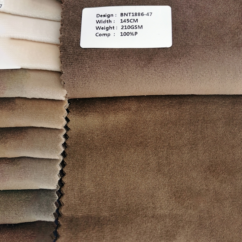 Tissu Holland Velvet BNT1886