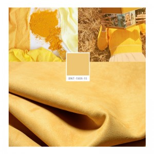 technologie bionique monochrome bnt1906