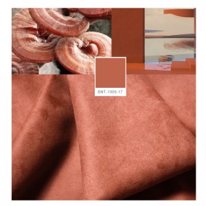 technologie bionique monochrome bnt1906