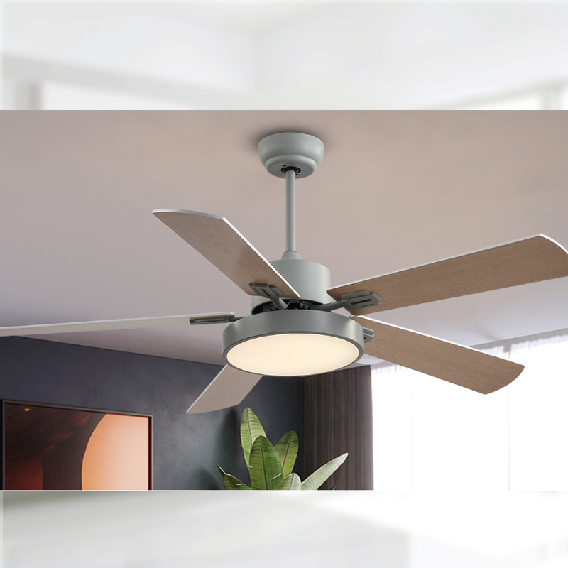 Ventilateur FL Z BS5671C 42