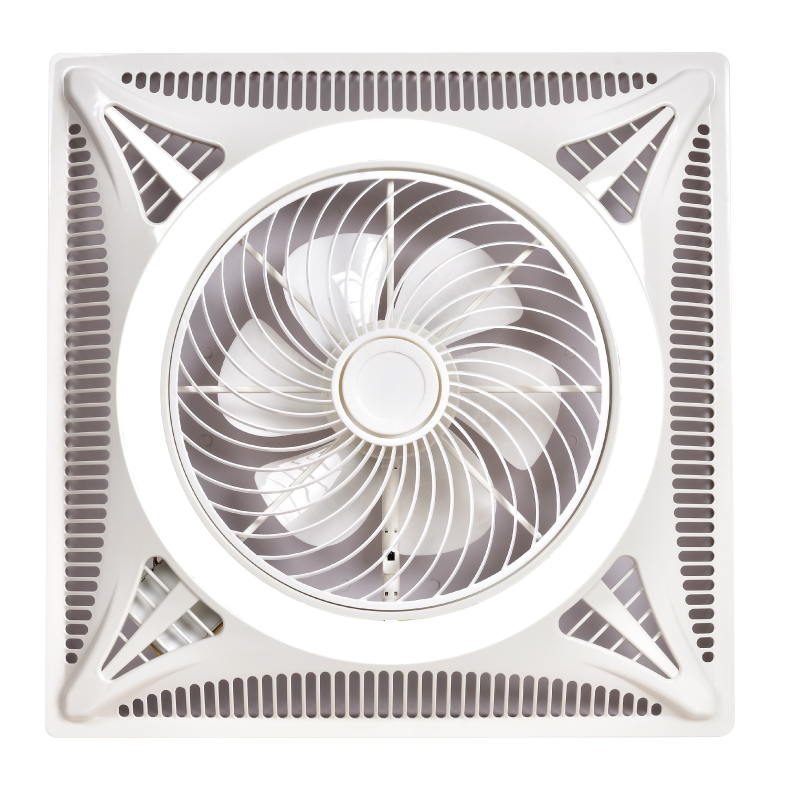 Fan Light FL A WTBG40 598