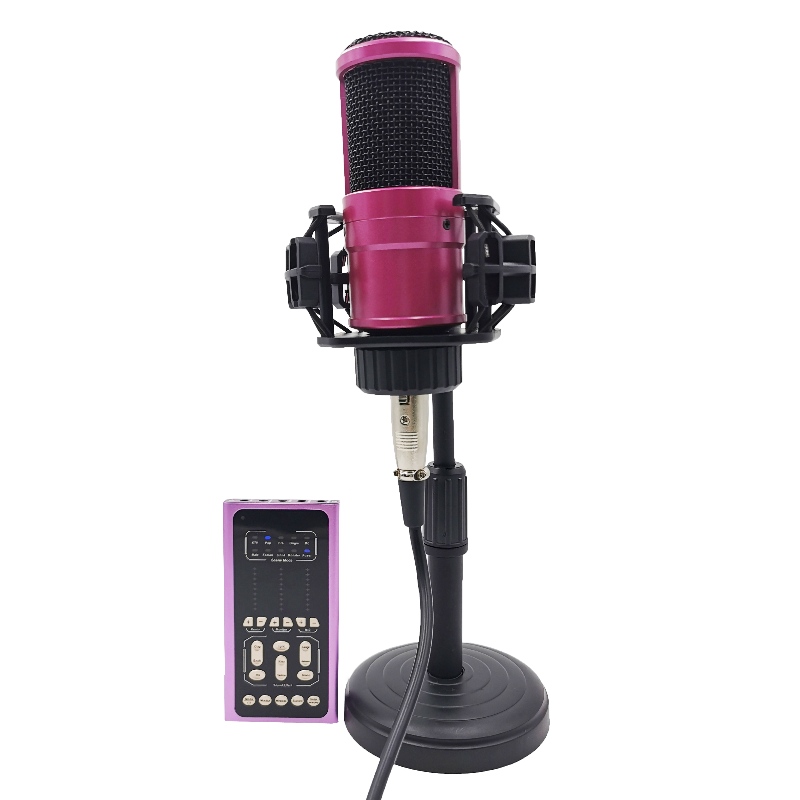 FB-LSC500 Super Slim Taille Multifonctionnel Changeur vocal Changeur de Sound et Set de microphone
