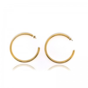 Boucles d\'oreilles à la mode plaquées en acier inoxydable