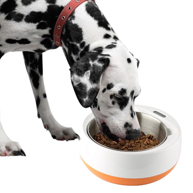 Bol à Pet d'alimentation intelligente