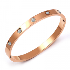 Bracelet en acier de titane de l\'air frais froid