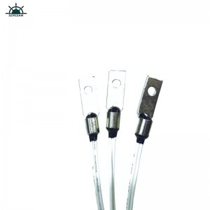 Chine Factory OEM Personnaliser le capteur de température Thermistor OHM 4050K 10K OHM pour la machine d\'impression 3D