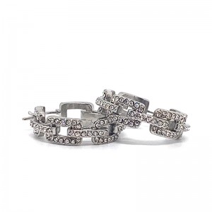 Boucles d\'oreilles en zircon en acier inoxydable de mode européen et américain (ne pas disparaître)