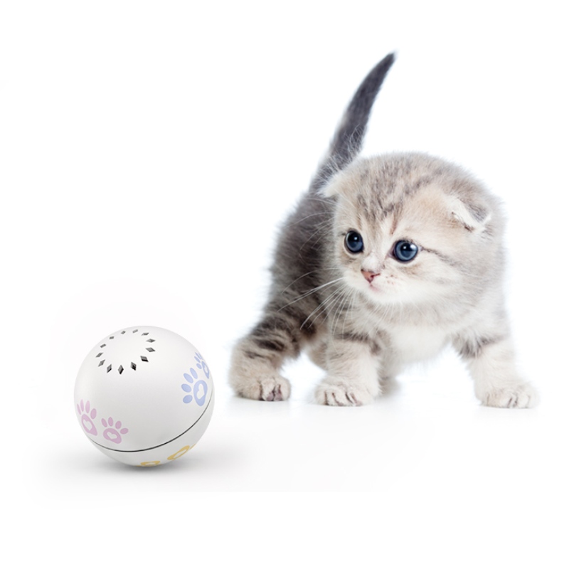 Jouets à billes de chat laser interactif