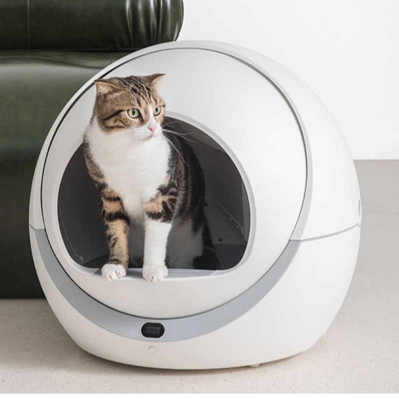 Boîte à litière automatique de chat wifi