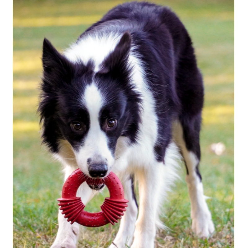 Jouets à mâcher de chien en caoutchouc interactif extrêmes furjoyz