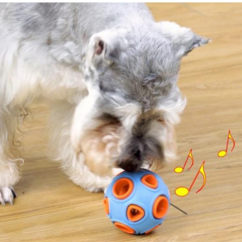 Toys de chien flottant LED