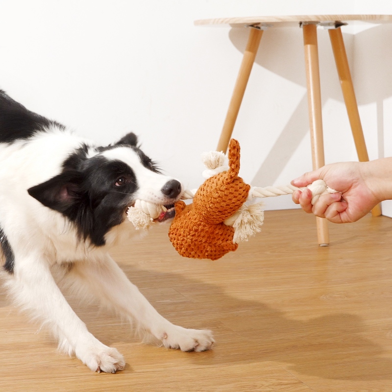 Jouet de chien en peluche