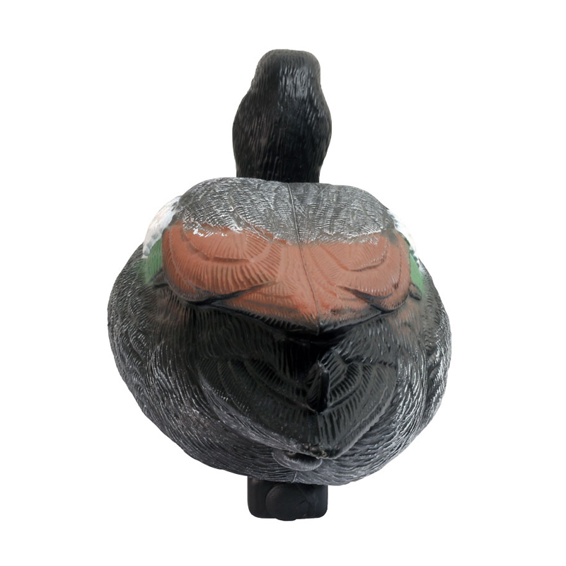 Taille de la vie Réaliste Motled Mottled Decoy de canard