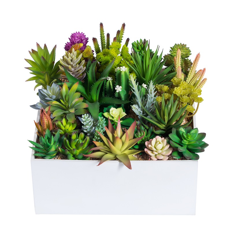 Succulente artificielle de simulation élevée