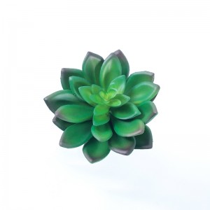 mini plantes succulentes artificielles