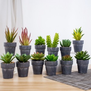 Wholesale plante succulente artificielle en pot